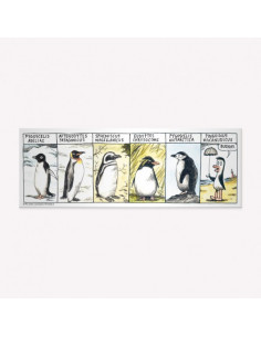 Iman Flexible Tira Razas De Pinguinos