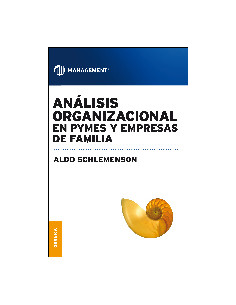 Analisis Organizacional En Pymes Y Empresas De Familia