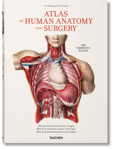Bourgery
*atlas De Anatomia Humana Y Cirugia