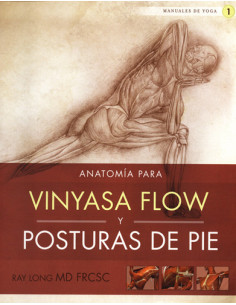 Anatomia De Vinyasa Flow Y Posturas De Pie