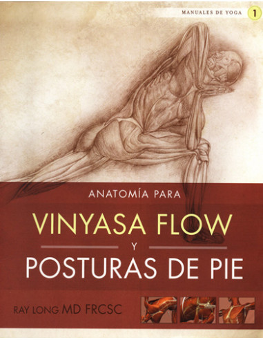 Anatomia De Vinyasa Flow Y Posturas De Pie