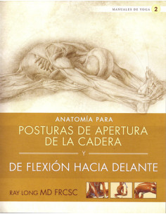 Anatomia Para Posturas De Apertura De La Cadera
