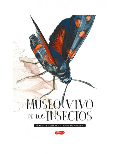 Museo Vivo De Los Insectos