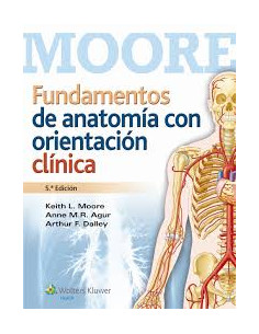 Fundamentos De Anatomia Con Orientacion Clinica 7 Ed