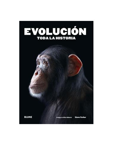 Evolucion
*toda La Historia