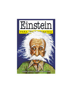 Einstein Para Principiantes
