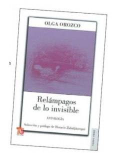 Relampago De Lo Invisible *antologia*