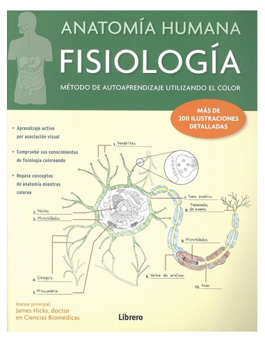 Anatomia Humana Fisiologia