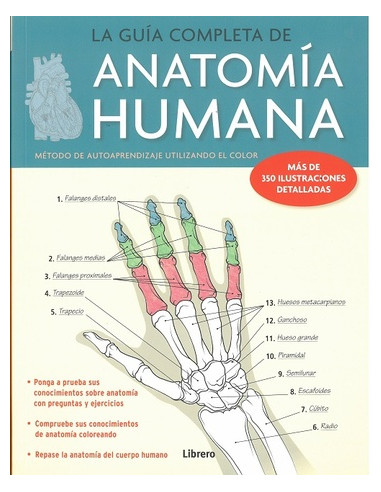 La Guia Completa De Anatomia Humana
