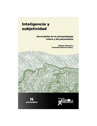 Inteligencia Y Subjetividad
*encrucijadas De La Psicopedagogia Clinica Y Del Psicoanalisis
