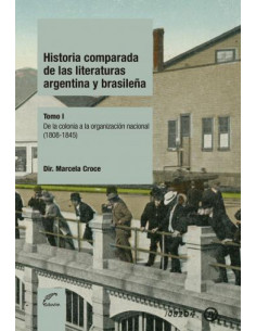 Historia Comparada De Las Literaturas Argentinas Y Brasileña Tomo 1