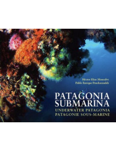 Patagonia Submarina