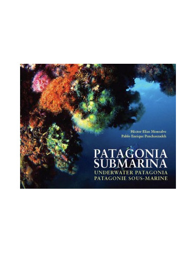 Patagonia Submarina