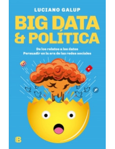 Big Data Y Politica