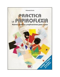 Practica La Papiroflexia