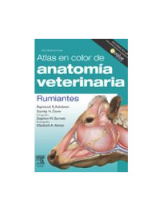 Atlas En Color De Anatomia Veterinaria. Rumiantes