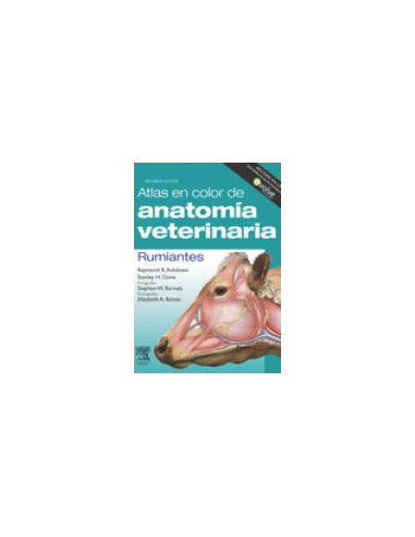 Atlas En Color De Anatomia Veterinaria. Rumiantes