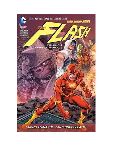 The Flash Vol 3