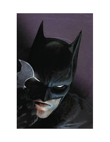Batman Vol 1