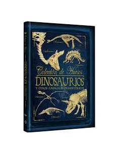 Coleccion De Huesos Dinosaurios
