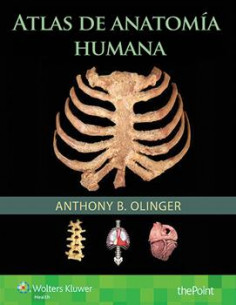 Atlas De Anatomia Humana 1 Ed