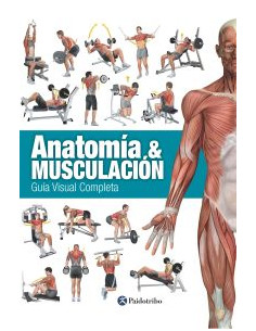 Anatomia Y Musculacion